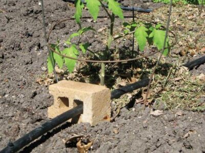 Country Lore: Secure Garden Hose Holder Image